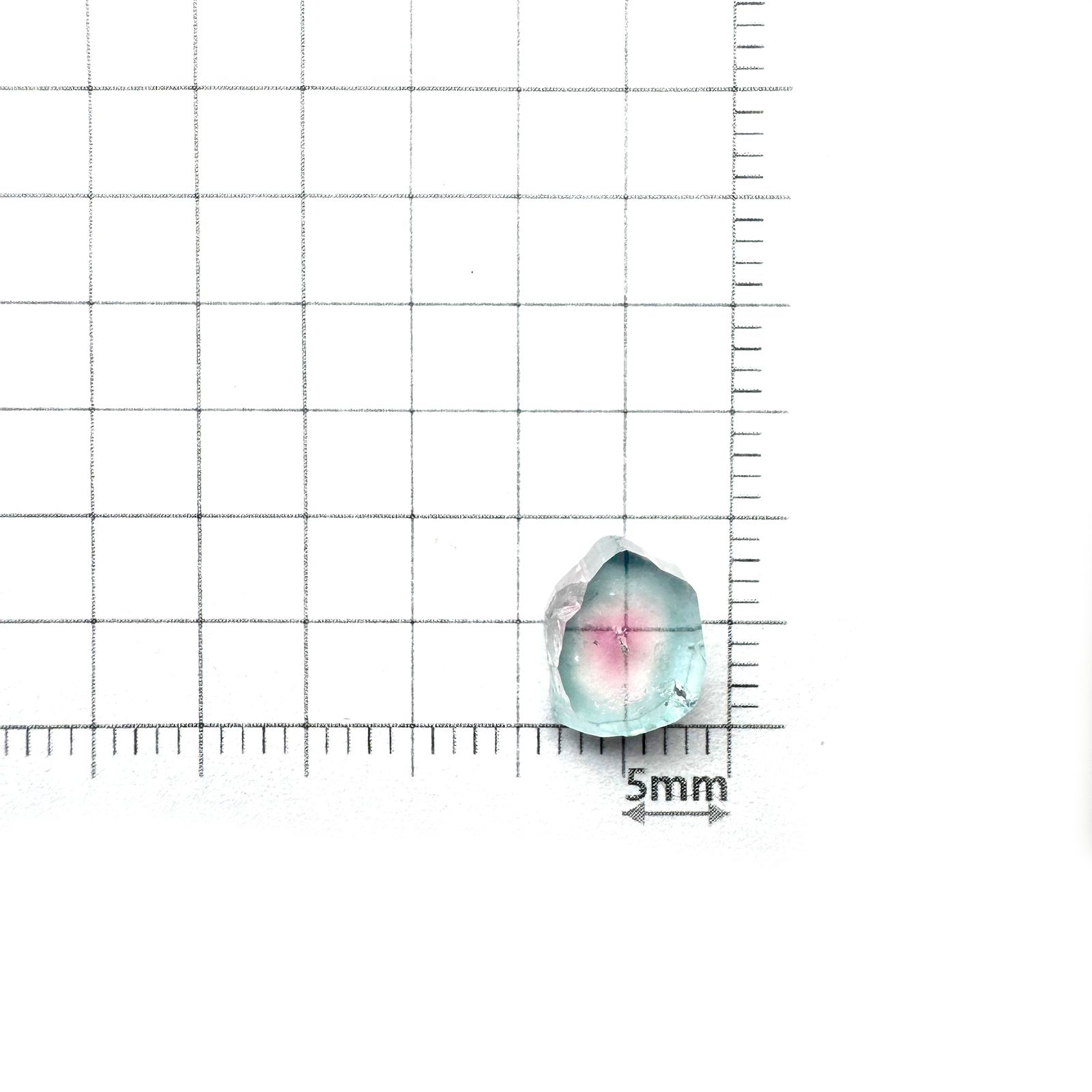 ウォーターメロントルマリン 原石スライス アフガニスタン産 2.33ct [250430212]8.8x7.1mm前後