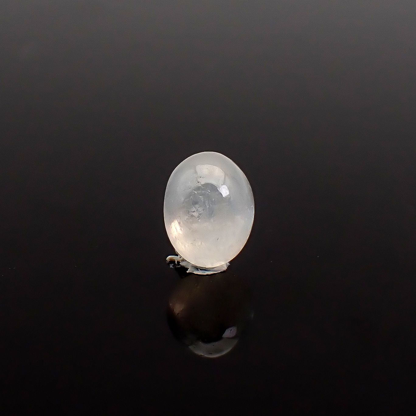 ジルコンキャッツアイ ビルマ産 0.62ct / 5x3.9mm前後 [260832884]