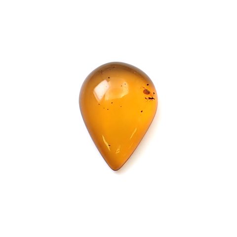 虫入り琥珀 コロンビア産 10.22ct [250530473]25.7x18.6mm前後