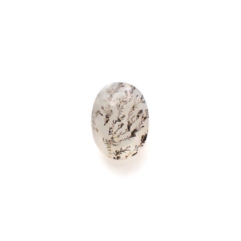 デンドリチッククォーツ ブラジル産 5.79ct[231224899]15.1x11.2mm前後