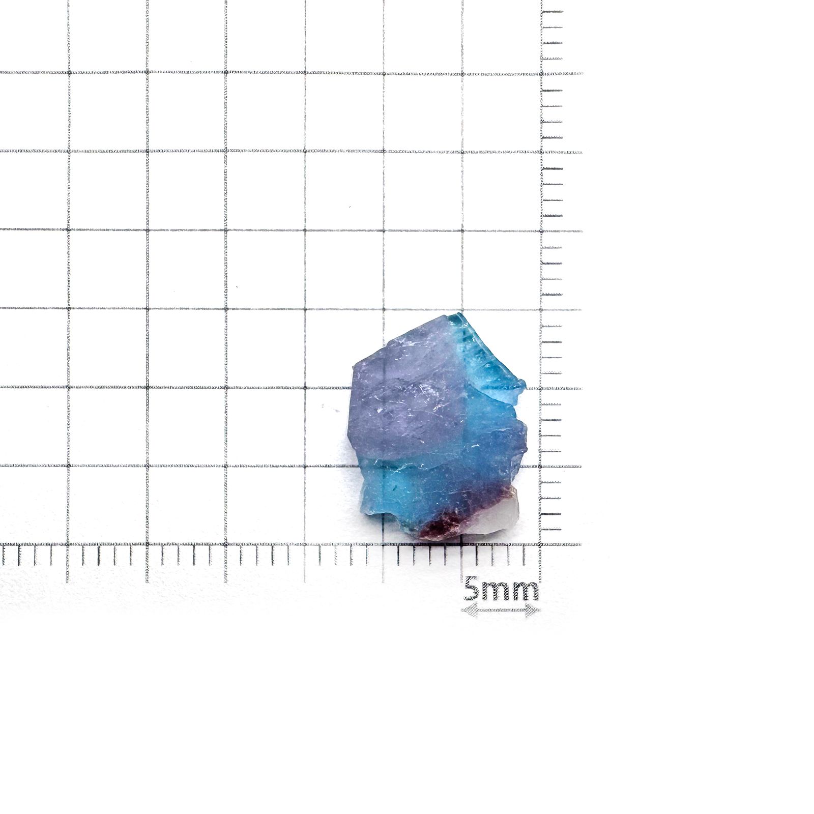 バイカラーパライバトルマリン原石スライス ブラジル産 4.22ct [241129450]13.8x11.4mm前後