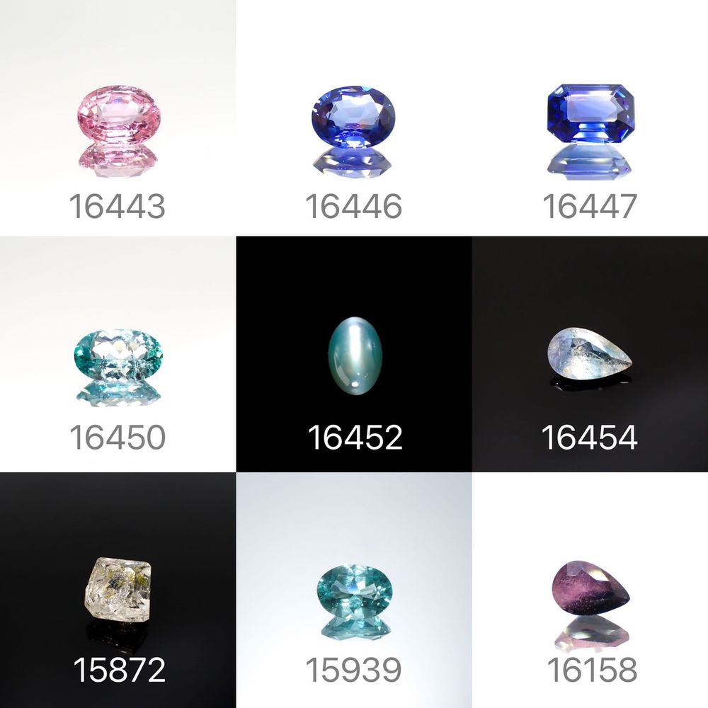 22/6/23 新発売!36アイテム