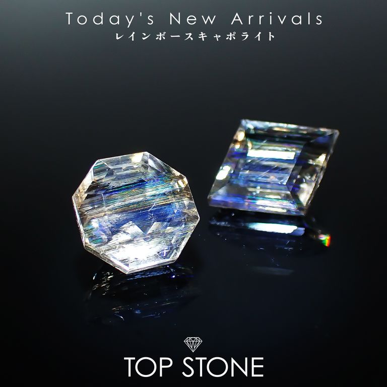 ’25 11月3日（月・祝）新着 | レインボースキャポライト