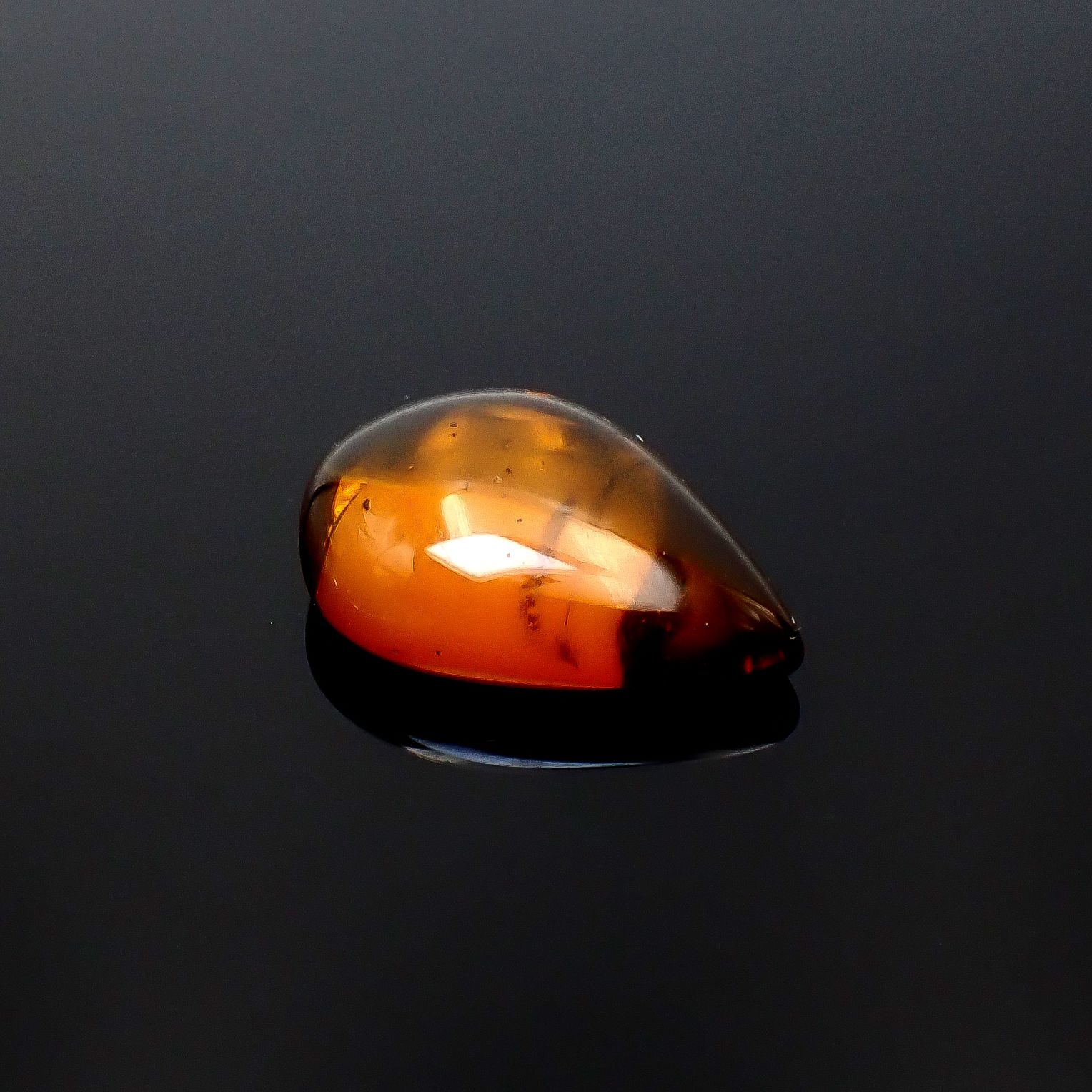 虫入り琥珀 コロンビア産 10.22ct [250530473]25.7x18.6mm前後