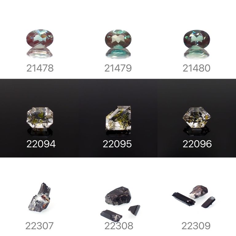 ’23 6月17日（土）新着9アイテム＋≪ランダムセレクト -Limited edition-≫