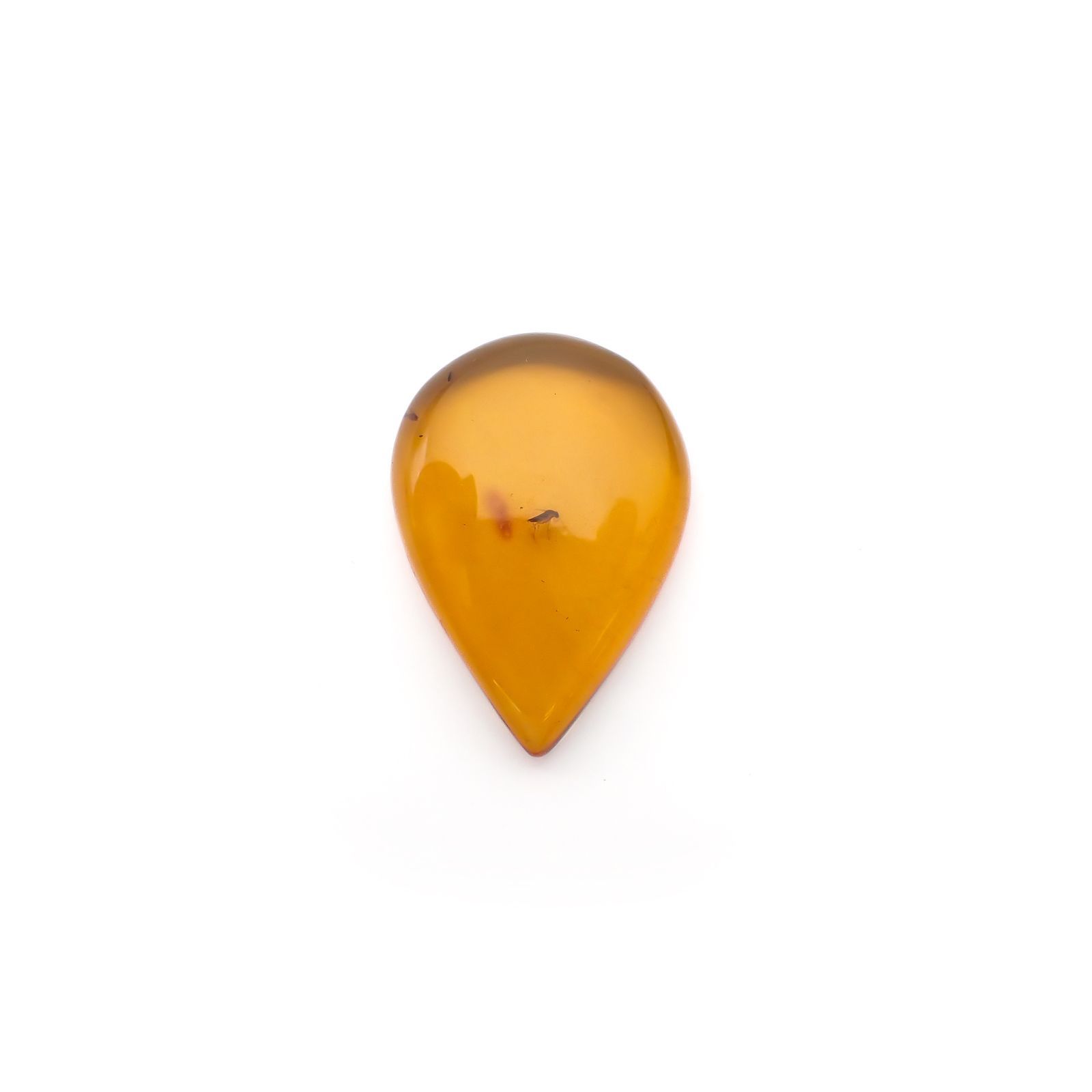 虫入り琥珀 コロンビア産 13.56ct [221018546]30.9x21.8mm前後