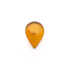 虫入り琥珀 コロンビア産 13.56ct [221018546]30.9x21.8mm前後