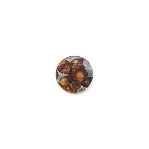 パラサイト隕石Sericho トリプレット 発見地:ケニア 3.56ct[240125710]12.1x12mm前後