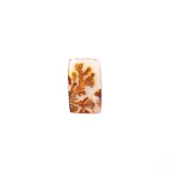 レッドデンドリチッククォーツ ブラジル産 19.29ct[231225089]27.2x16.4mm前後