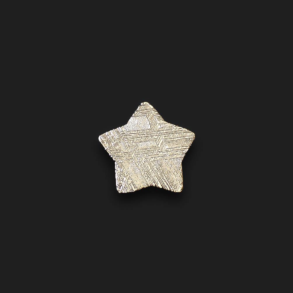 ◇カスタムカット・スター◇アルタイ隕石 発見地：中国 0.88ct [250330016]9.7x8.8mm前後