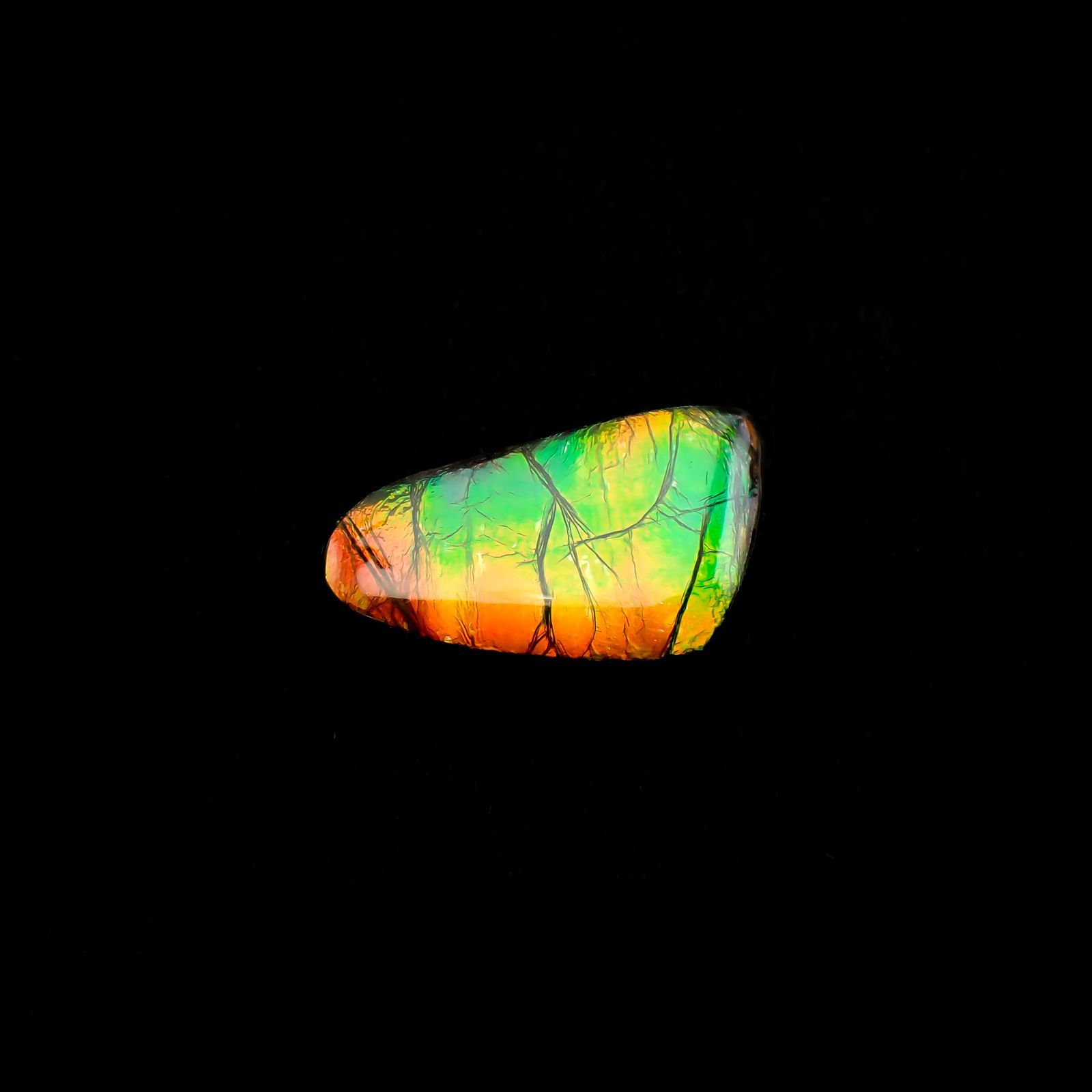 ◇フリーフォーム◇アンモライト トリプレット カナダ産 12.62ct [220817408]20.9x12.8mm前後