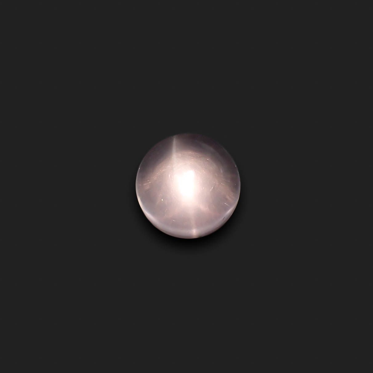 WMVxPyQyuCUh.jpg?width=768