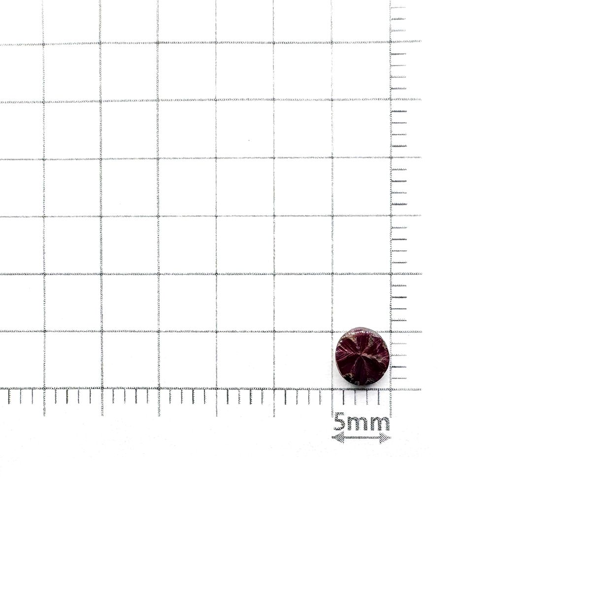 トラピッチェルビー 原石スライス磨き(宝石名トラピッチェ・ルビー)ミャンマー産 0.52ct 識別済[240628071]4.9x4.5mm前後