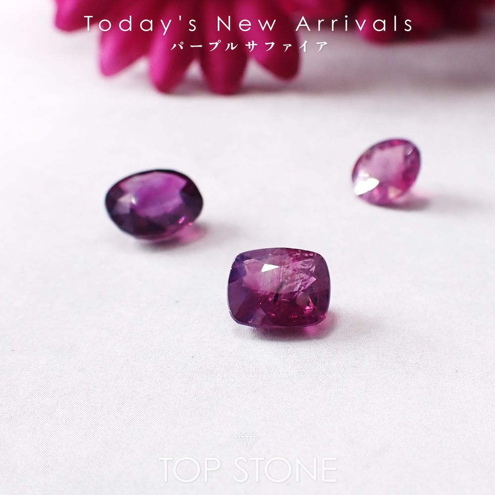 ’25 12月7日（日）新着 | パープルサファイア