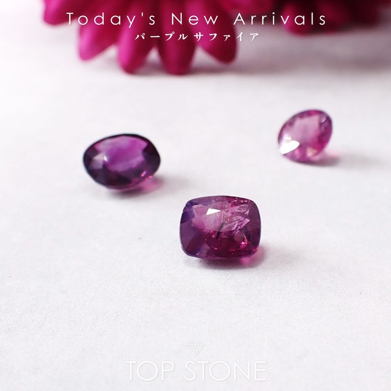 ’25 12月7日（日）新着 | パープルサファイア