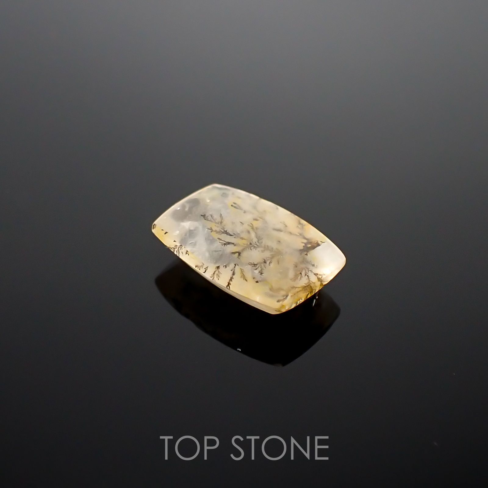 デンドリチッククォーツ ブラジル産 3.39ct[220115113]12.7x8.6mm前後