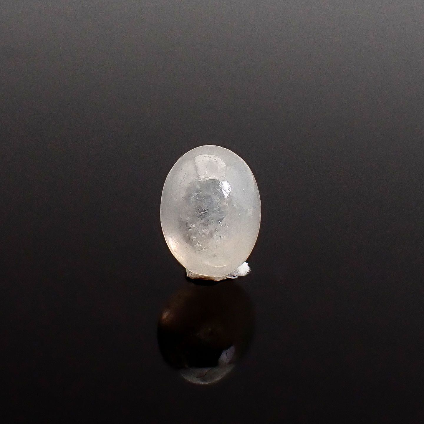 ジルコンキャッツアイ ビルマ産 1.27ct / 6.5x4.9mm前後 [260832878]