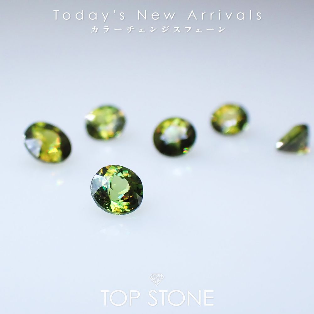 ’25 11月20日（木）新着 | カラーチェンジスフェーン