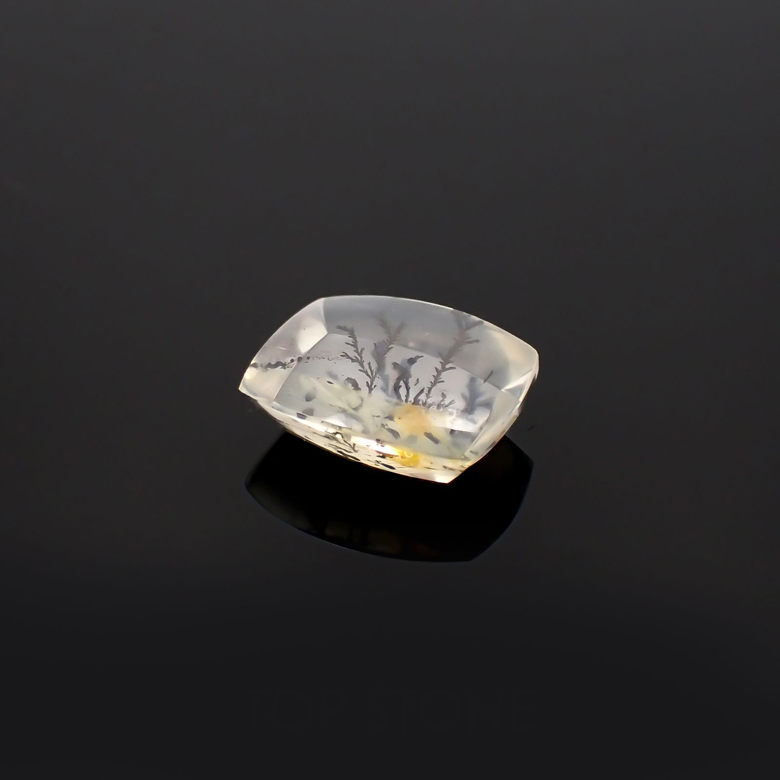 デンドリチッククォーツ ブラジル産 5.93ct[230321072]11.2x13.7mm前後
