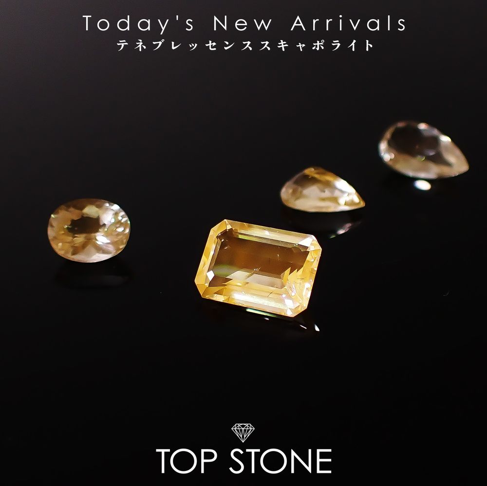 ’26 1月23日（金）新着 | テネブレッセンススキャポライト