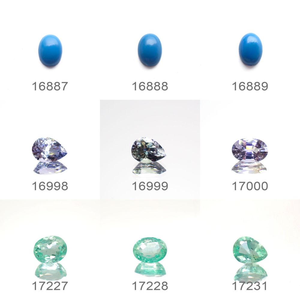 22/8/4 新発売!12アイテム