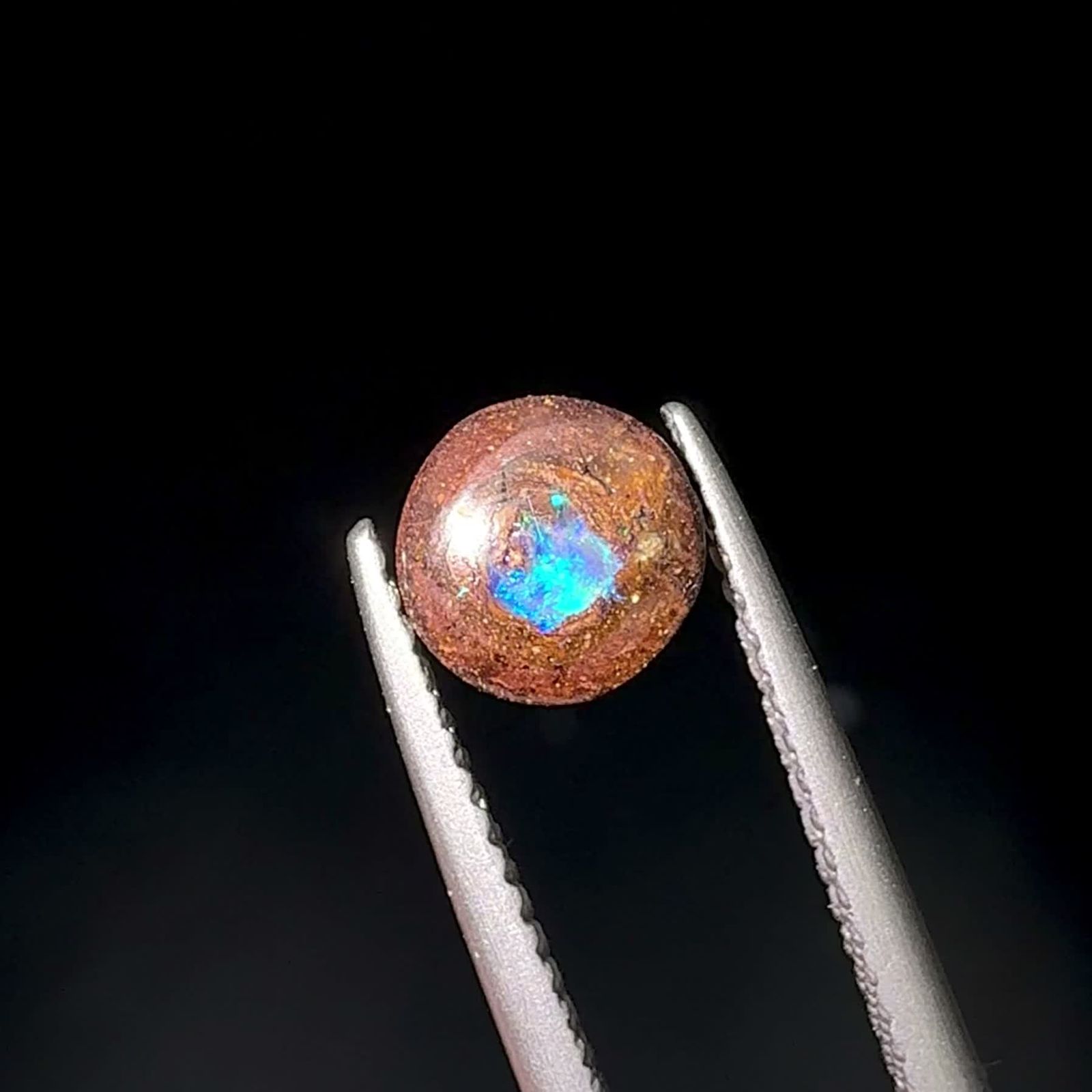 ウッドオパール オーストラリア産 0.55ct / 6.1x6.1mm前後 [251131297