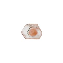 ファントムクォーツ 原石スライス ブラジル産 5.07ct[220716809]12.1x15.9mm前後