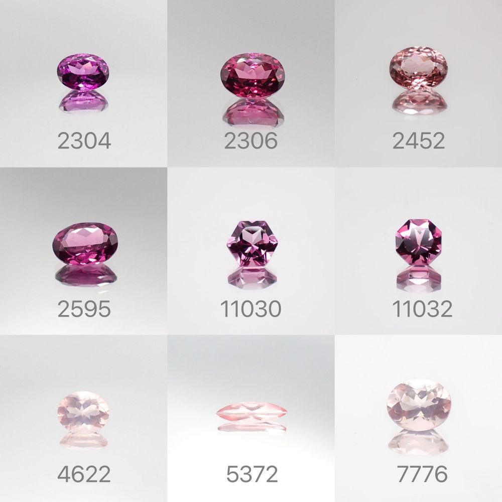 22/1/19 新発売!33アイテム