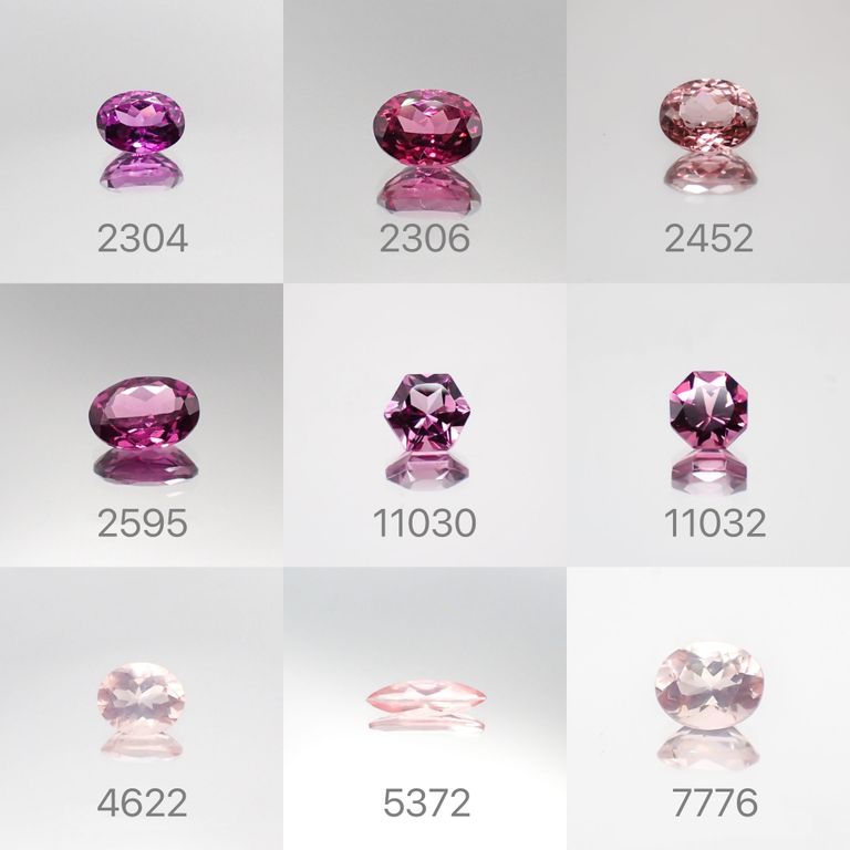 22/1/19 新発売！33アイテム