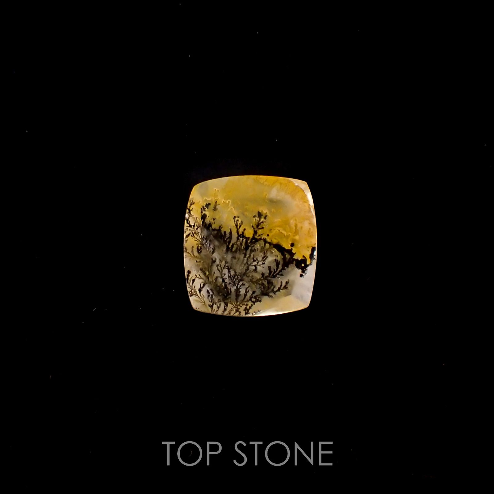 デンドリチッククォーツ ブラジル産 4.23ct[220616703]12x11.4mm前後