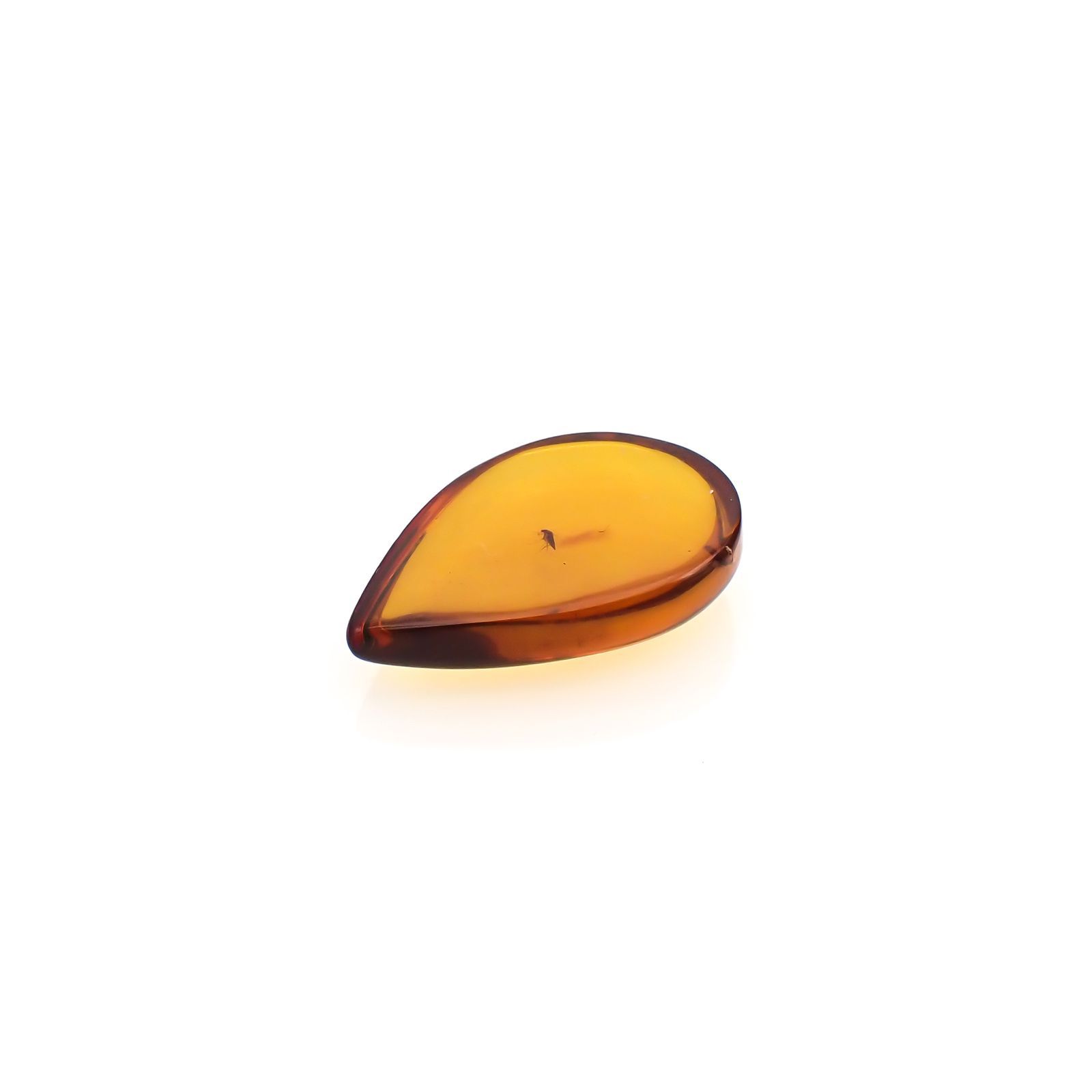 虫入り琥珀 コロンビア産 13.56ct [221018546]30.9x21.8mm前後