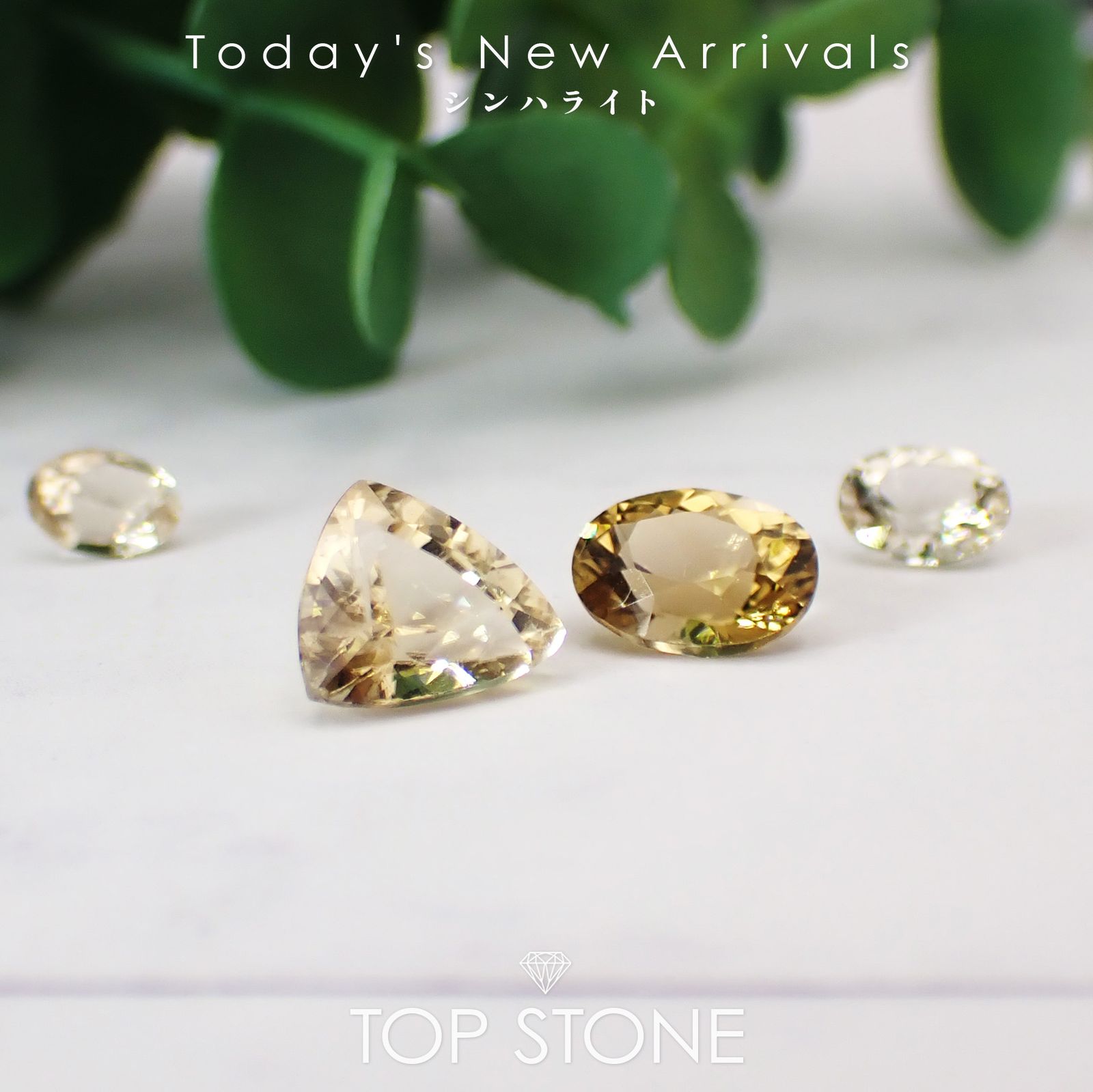 希少石 | TOP STONE(トップストーン)