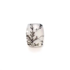 デンドリチッククォーツ ブラジル産 5.18ct[230823246]13.5x10.6mm前後
