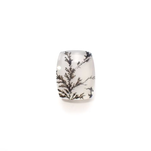デンドリチッククォーツ ブラジル産 5.18ct[230823246]13.5x10.6mm前後