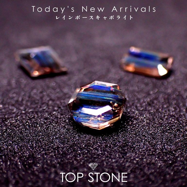 ’25 12月29日（月）新着 | レインボースキャポライト