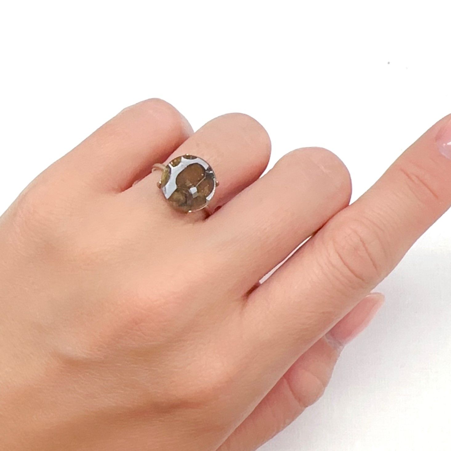 パラサイト隕石Sericho トリプレット 発見地:ケニア 3.97ct[240125718]12.1x12mm前後