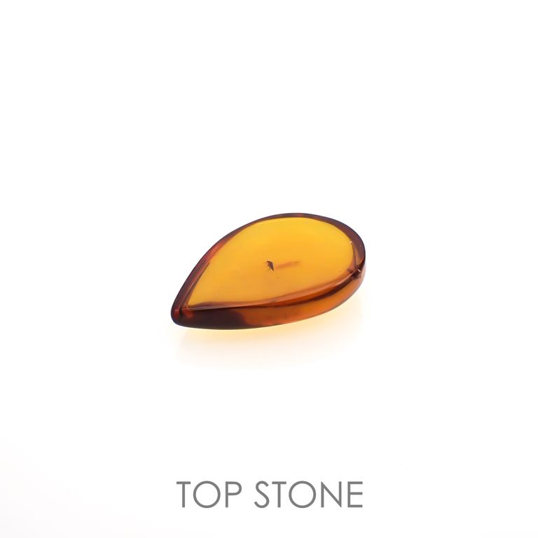 虫入り琥珀 コロンビア産 13.56ct[221018546]30.9x21.8mm前後 | TOP 