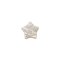 ◇カスタムカット・スター◇アルタイ隕石 発見地：中国 0.83ct [250129809]9.3x9.5mm前後