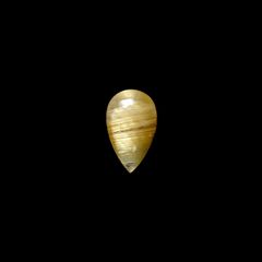 タイチンルチルクオーツ ブラジル産 4.53ct[240427319]15.7x9.5mm前後