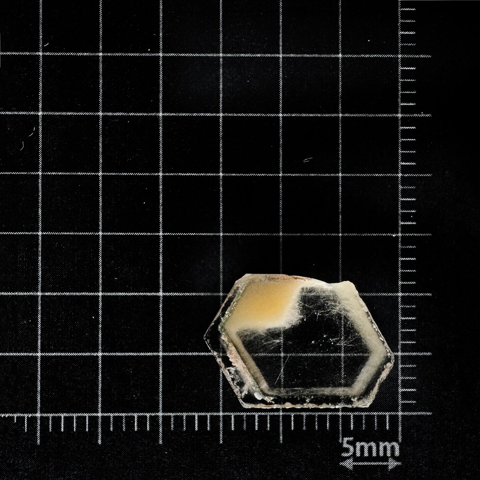 ファントムクォーツ 原石スライス ブラジル産 4.03ct [250330080]10.9x15.5mm前後