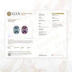 【取得代行】GIAカラーストーン鑑別レポート(宝石鑑別書)