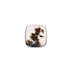 コッパークリソコラインカルセドニー インドネシア産 11.45ct / 16.4x16.3mm前後 [260932800]