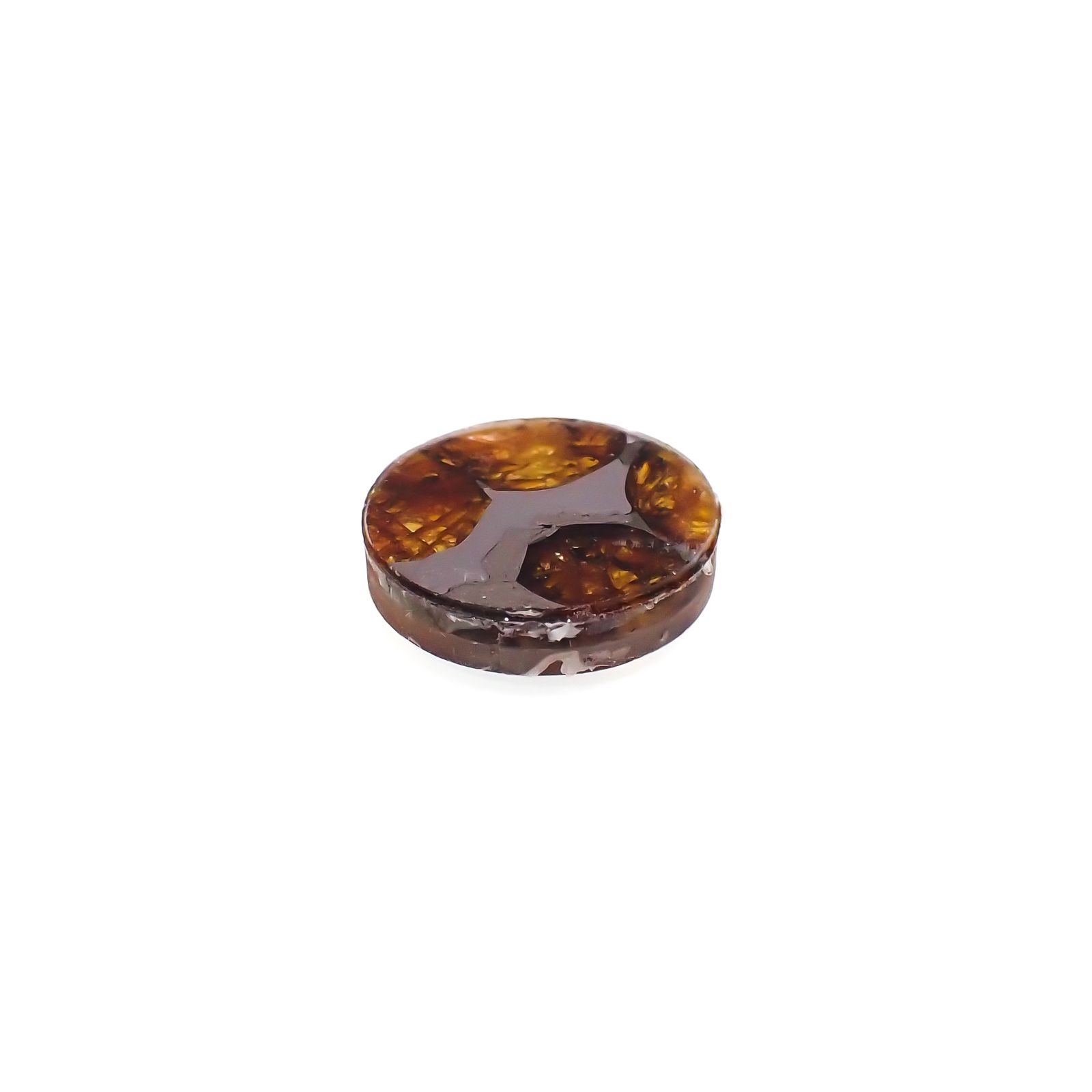 パラサイト隕石Sericho トリプレット 発見地：ケニア 4.42ct[231023673]12.2x12.2mm前後