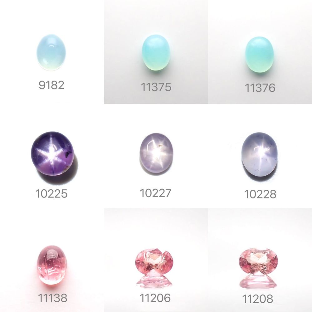 21/11/30 新発売!29アイテム