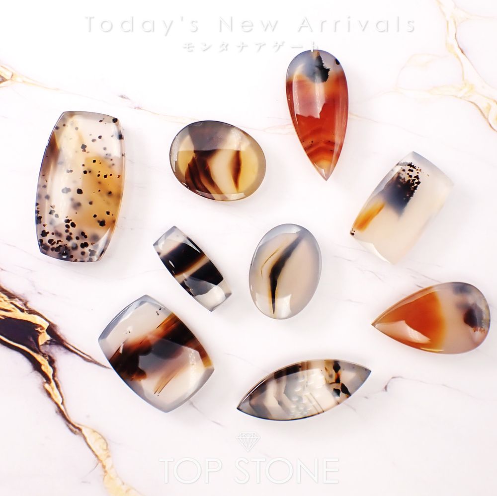 ’26 2月6日（金）新着 | モンタナアゲート