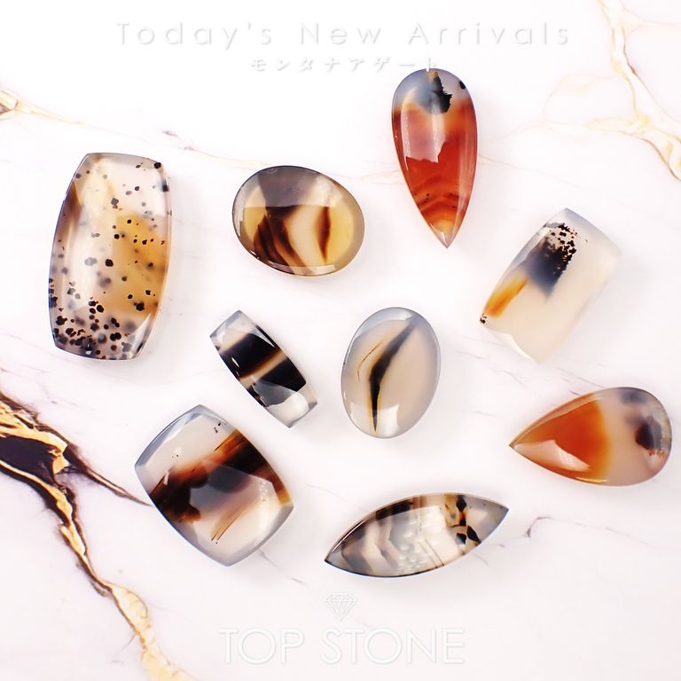 ’26 2月6日（金）新着 | モンタナアゲート