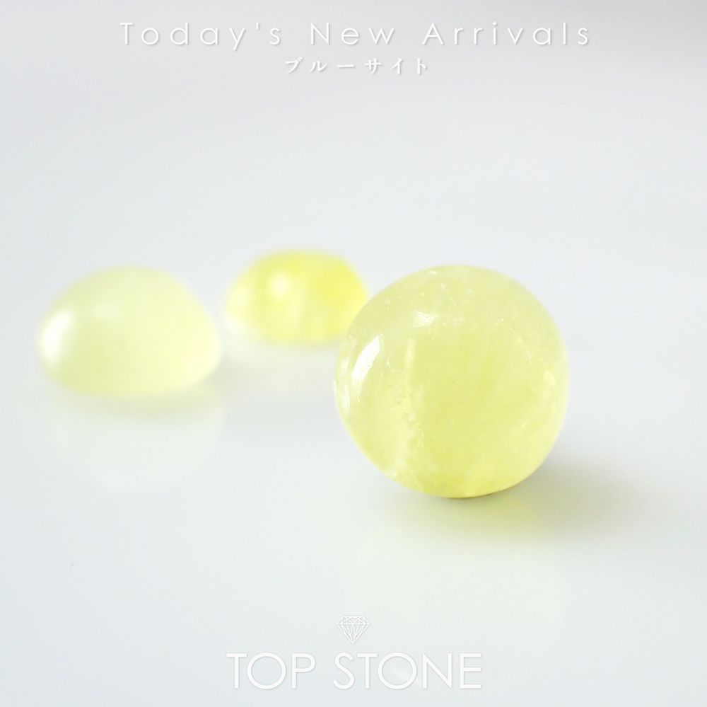 ’25 11月16日（日）新着 | ブルーサイト