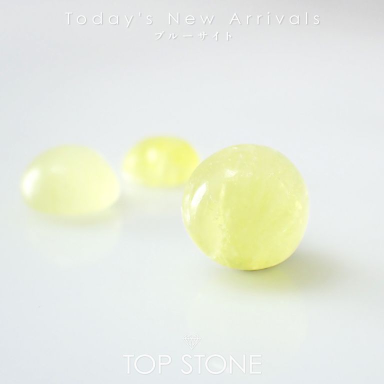 ’25 11月16日（日）新着 | ブルーサイト