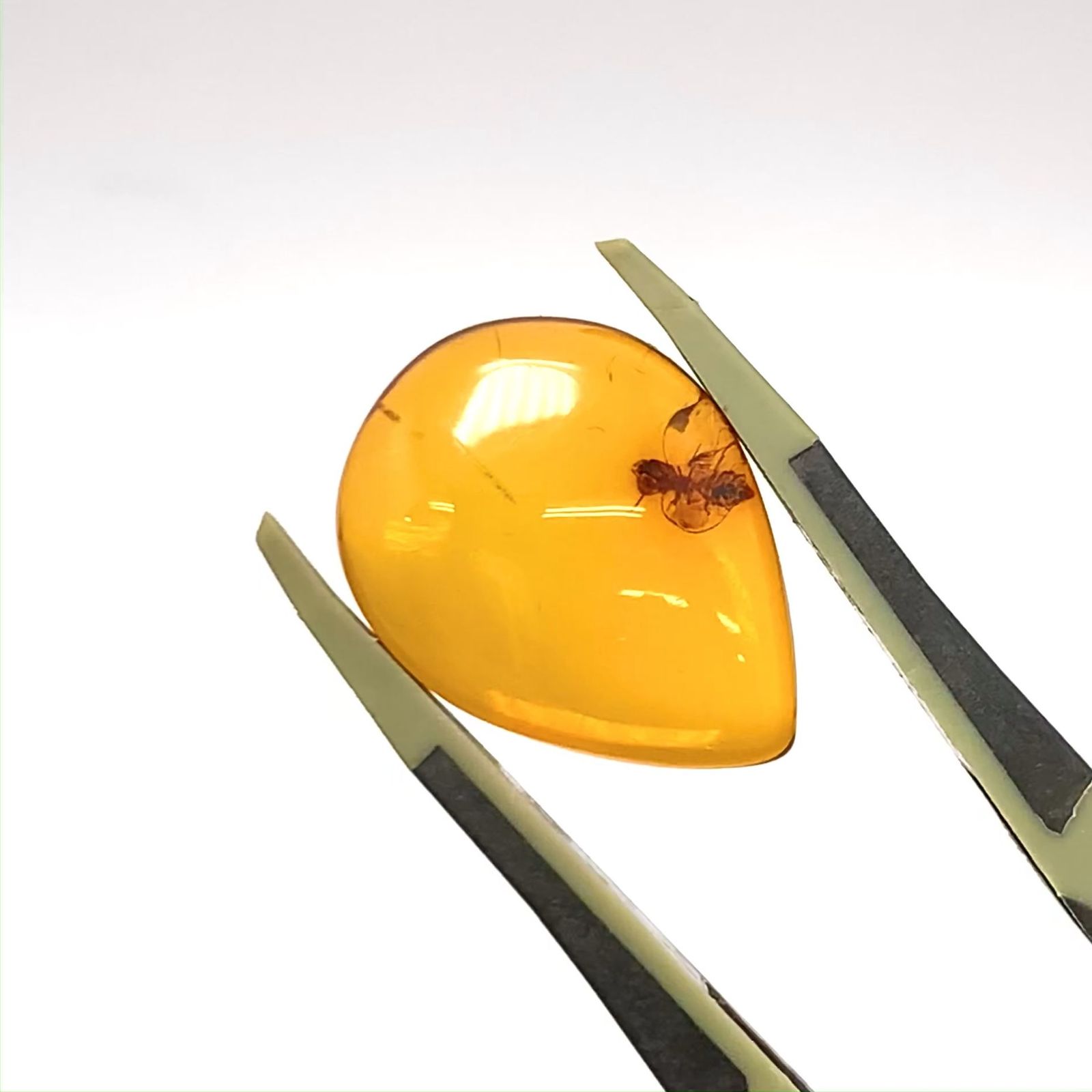 虫入り琥珀 コロンビア産 5.68ct[221018550]21x15.7mm前後 | TOP STONE
