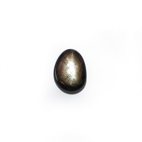 ◇フリーフォーム◇ゴールドシーンスターサファイア ケニア産 22.42ct[240527499]20.9x15.5mm前後